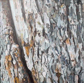 Product Description: Layers of beauty (pecan tree)</br></br>Ji Ahn Kang</br></br>Acrylic on linen</br></br>30 x 30 inches</br></br>2022</br> Layers of beauty (pecan tree) - Ji Ahn Kang