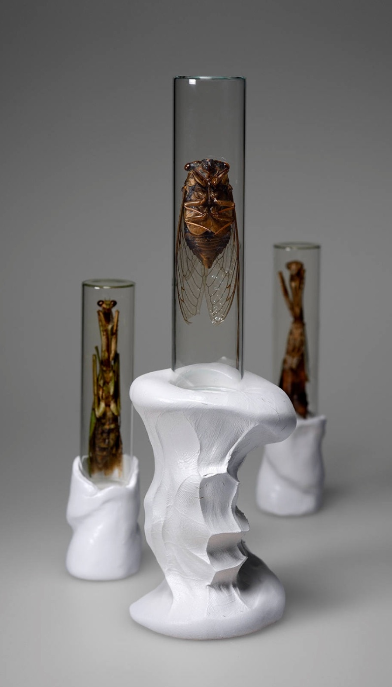 Product Description: Emancipation is not Freedom</br></br>Photograph: archival pigment ink print on fine art paper</br></br>$600</br></br>21in x 31in</br></br>2019</br> Emancipation is not Freedom