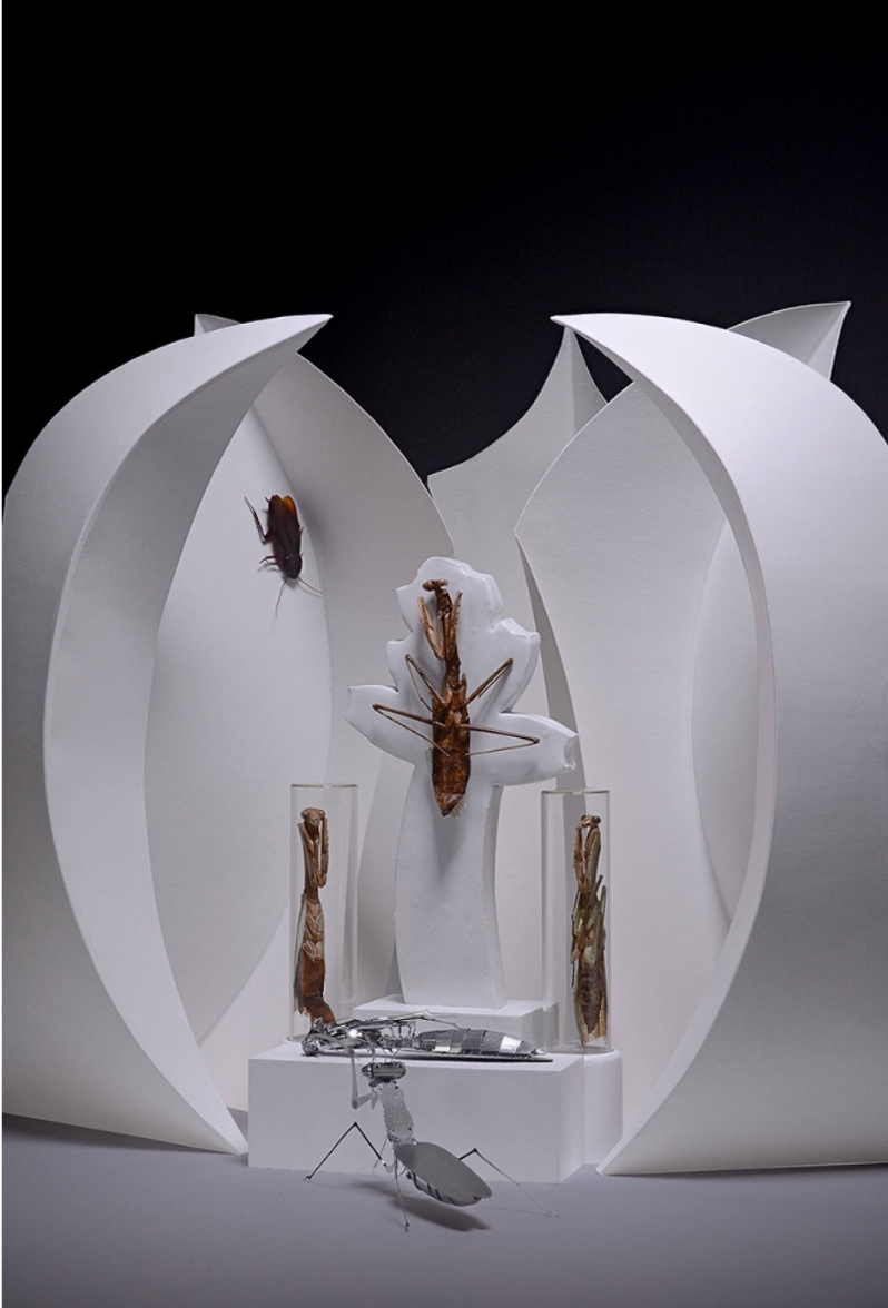 Product Description: The Decommissioning</br></br>Photograph: archival pigment ink print on fine art paper</br></br>$600</br></br>21in x 28in</br></br>2018</br> The Decommissioning