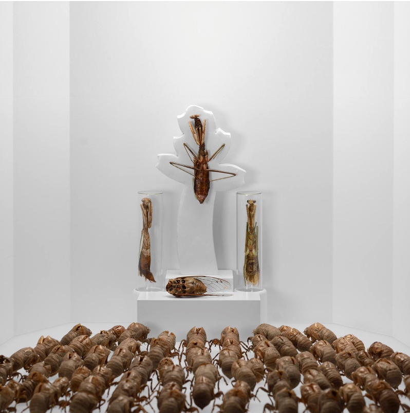 Product Description: The Viewing</br></br>Photograph: archival pigment ink print on fine art paper</br></br>21in x 28in</br></br>2018</br> The Viewing