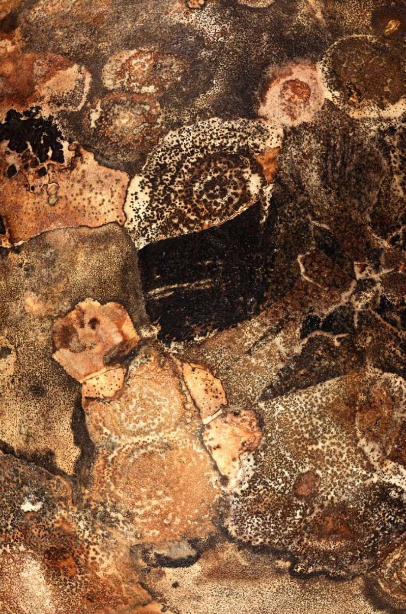 Product Description: New Gourd Wars 003</br></br>Photograph: archival pigment ink print on fine art paper</br></br>$400; 19in. x 27in. 2014</br> New Gourd Wars 003