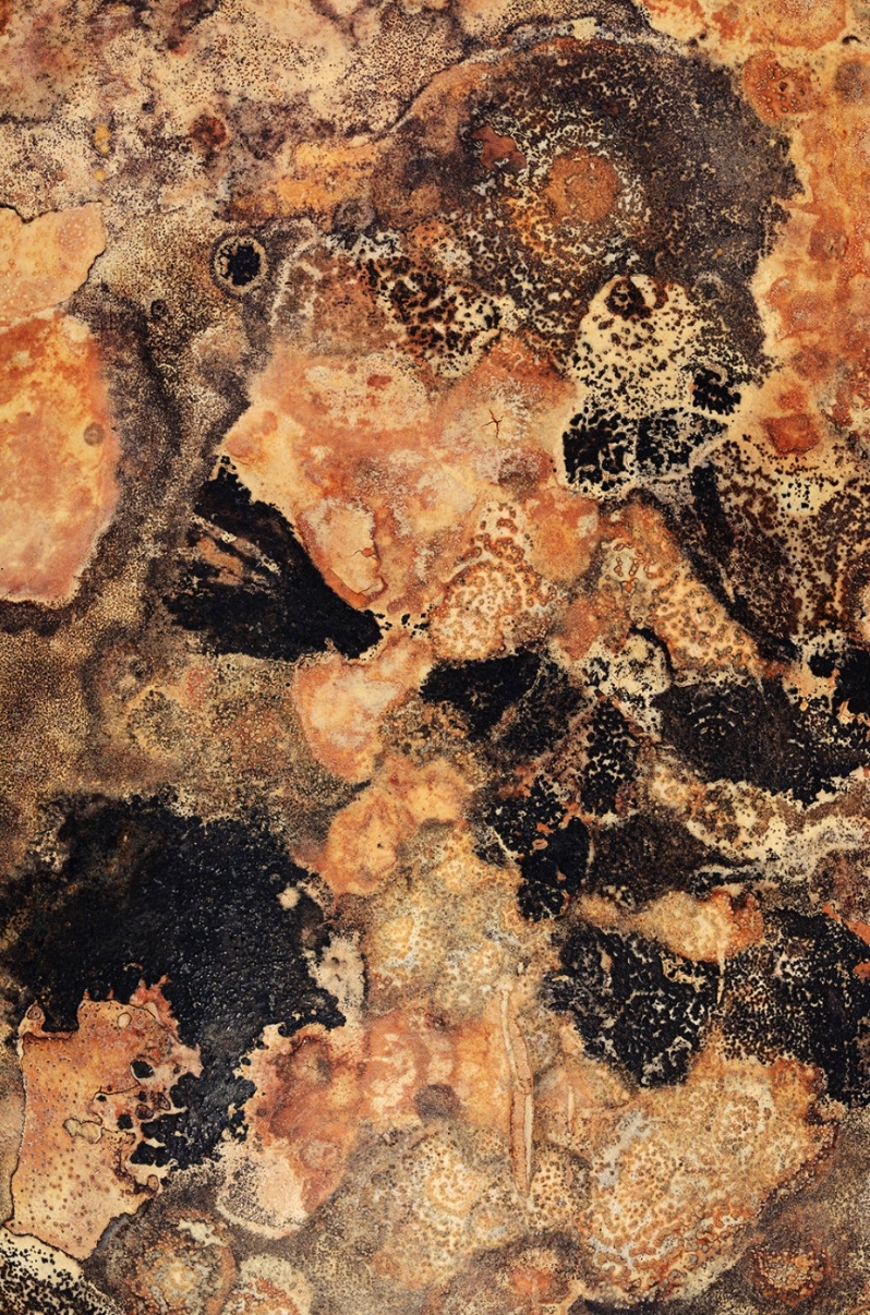 Product Description: New Gourd Wars 007</br></br>Photograph: archival pigment ink print on fine art paper</br></br>$400; 19in. x 27in. 2014</br> New Gourd Wars 007