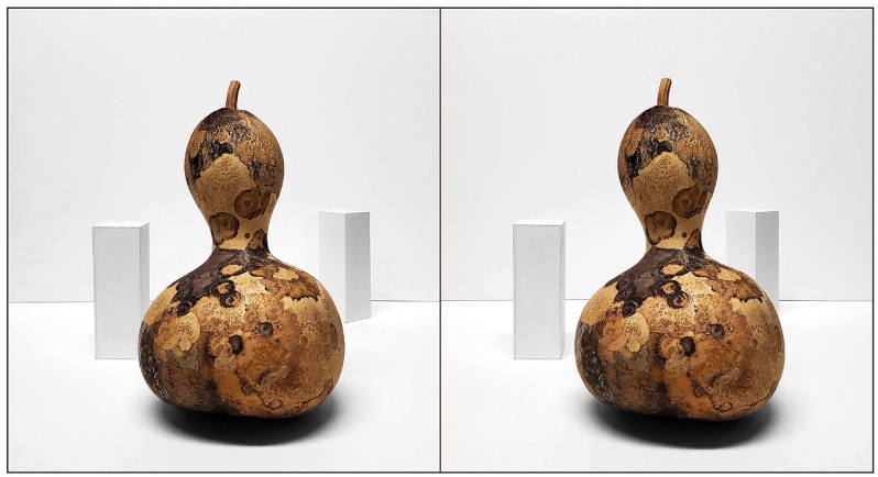 Product Description: 3D Gourd Wars</br></br>Photograph: archival pigment ink print on fine art paper</br> 3D Gourd Wars