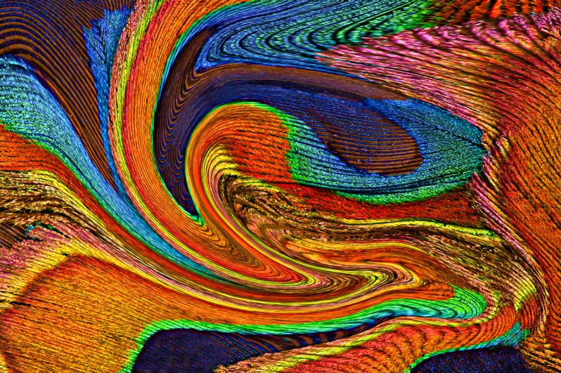 Product Description: Peacock Feather Swirl</br></br>Minnie Gallman</br></br>16x20</br></br>2015</br></br>Photography</br></br>$180</br> Peacock Feather Swirl by Minnie Gallman