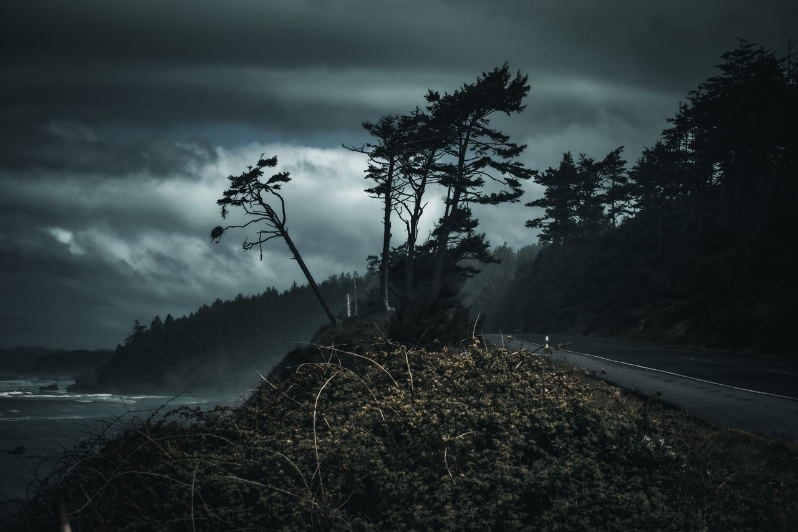 Product Description: Brewing by the Ocean</br></br>Zach Gunty</br></br>24x16</br></br>2023</br></br>Photography</br></br>$475</br> Brewing by the Ocean by Zach Gunty