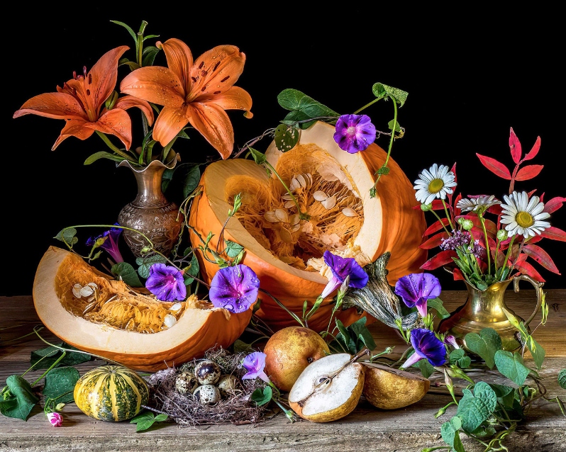 Product Description: Pumpkin and Morning Glory</br></br>Yana Slutskaya</br></br>17x 21in.</br></br>2022</br></br>Metal Print Photography</br></br>$750</br> Pumpkins and Morning Glory by Yana Slutskaya